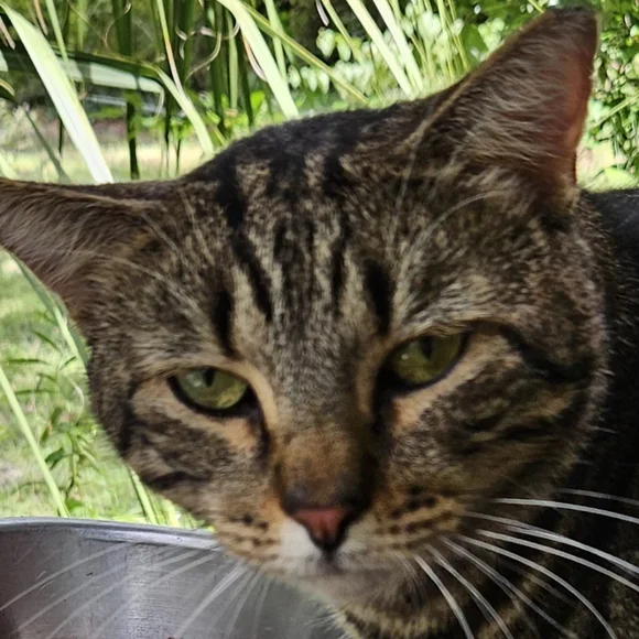 FRIDAY's THEME LIVE SHOWS NOTIFICATION |  jems_menagierie - Picture 12 of 15